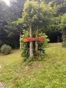 Mrežnički doživljaj