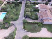 Top Grillon