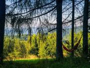 Top Skawica Top Skawica