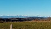 Top Aurignac