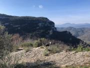 Top Orco Feglino Top Orco Feglino