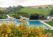 Quinta Santo António