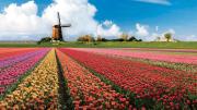 Top Oegstgeest