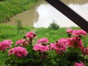 Top Turya Pasika Top Turya Pasika