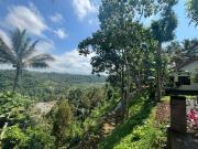 Top Banyuwangi