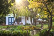 Top Greyton