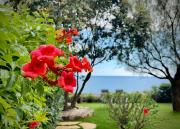 Top Cittadella del Capo