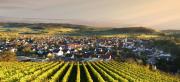 Top Sasbach am Kaiserstuhl