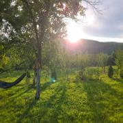 Hanul Doctorului Badeni-Runcu Apartament