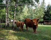 Top Prostřední Bečva Top Prostřední Bečva