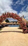 Top Mamaia Nord