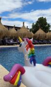 Top Mamaia Nord