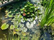 Top Montferrier-sur-Lez