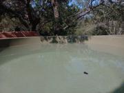 Top Hoedspruit
