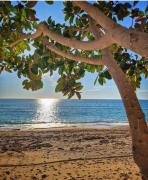 Top Kanallaki Top Kanallaki