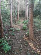 Top Zahoczewie Top Zahoczewie