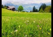 Bergpension Battagliahütte
