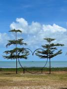 Top Pantai Kok