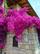 Top Limone sul Garda