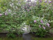 Ihana rivitalohuoneisto tarjolla