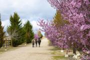 Top Valladolid