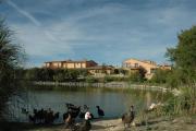 Top Valladolid