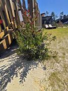 Top Jullouville-les-Pins