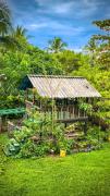 Top Bocas del Toro