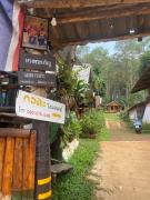 Top Ban Huai Makhuea Som