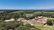 Top Pisa
