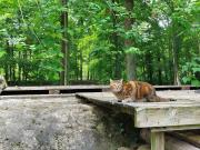Gîte du Moulin du Ponceau