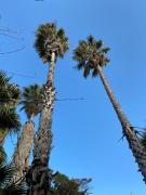 Top San Cesario di Lecce