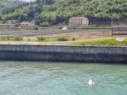 Top Strunjan Top Strunjan