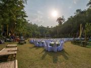 Top Golden Triangle