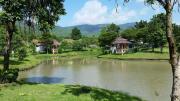 Top Ban Muang Ton Mamuang