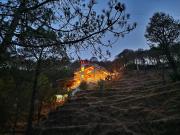 Top Kasauli