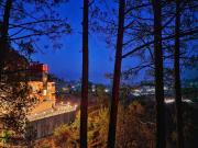 Top Kasauli