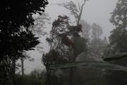 Top Kalimpong