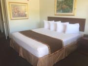 Top Orlando