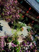 Top Lijiang