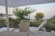 Top Topola