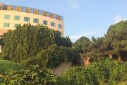 Top Weihai