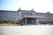 Top Linyi