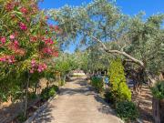 Top Skala Kallirakhis