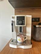 Top Kašperské Hory