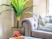 Private Garden West End with Parking - Pass the Keys