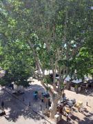 Top Villeneuve-lès-Avignon