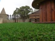 Top Güimar Top Güimar