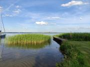 Top Wilkasy Top Wilkasy