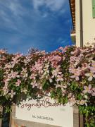 Top Domegge di Cadore